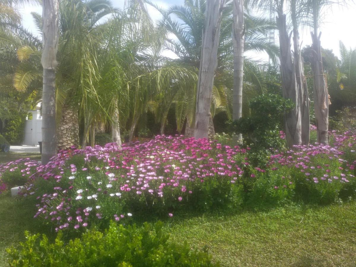 Balcon del Mar Villa Amadeus Xabia מראה חיצוני תמונה