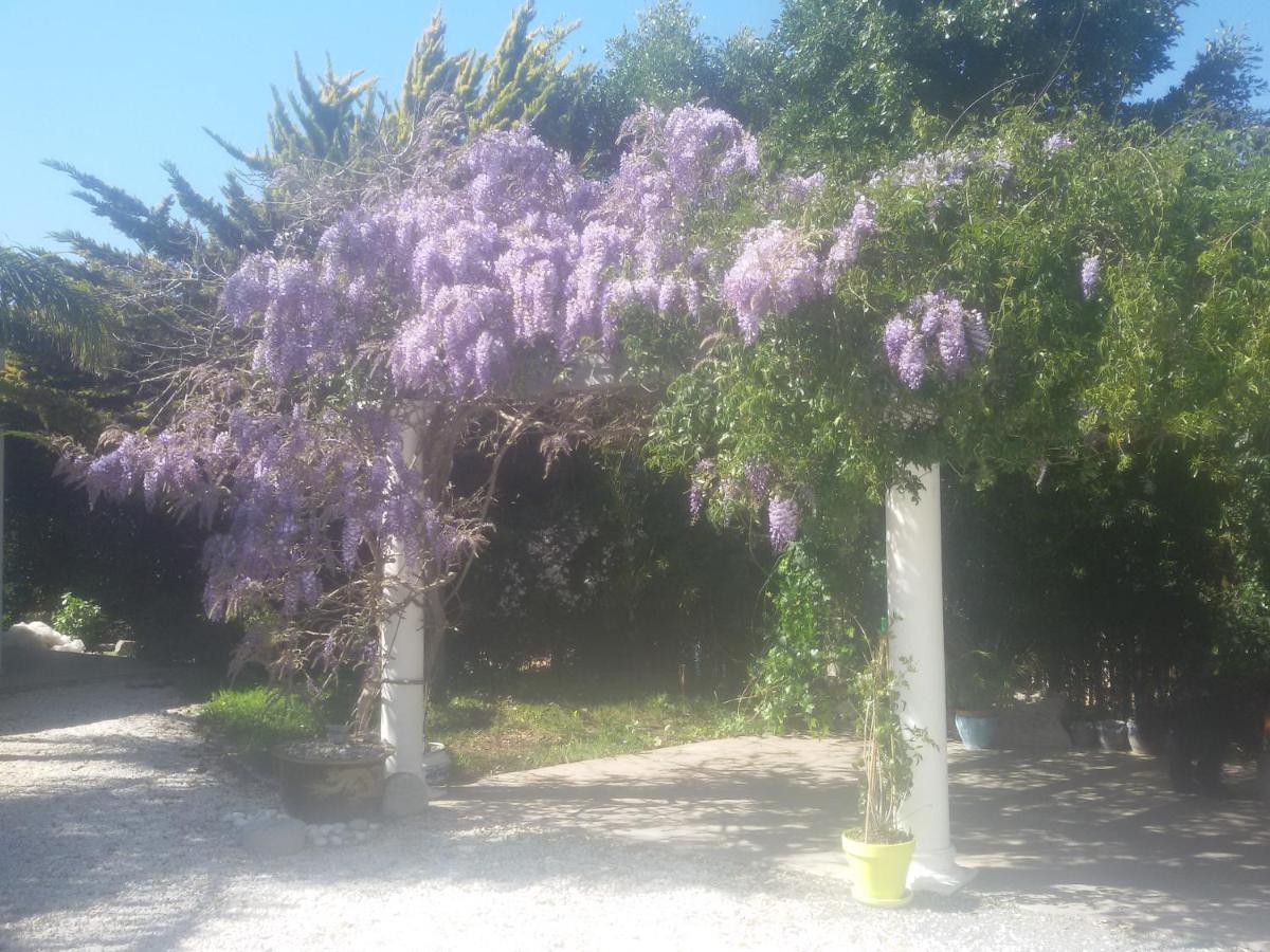 Balcon del Mar Villa Amadeus Xabia מראה חיצוני תמונה